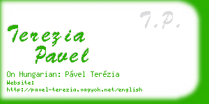terezia pavel business card